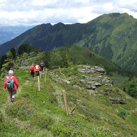 Gasthof Zur Gams Donnersbachwald Εξωτερικό φωτογραφία