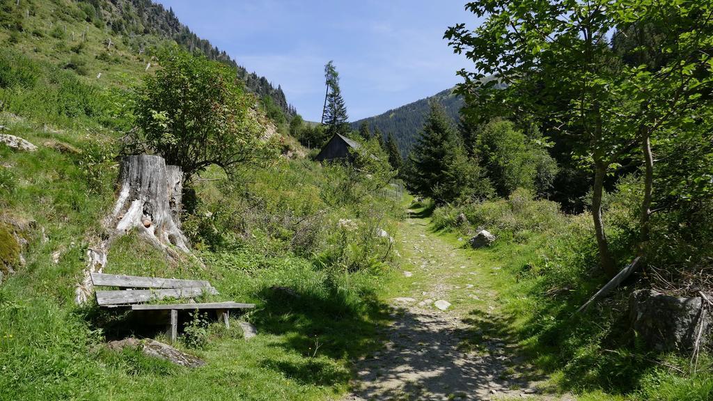 Gasthof Zur Gams Donnersbachwald Εξωτερικό φωτογραφία