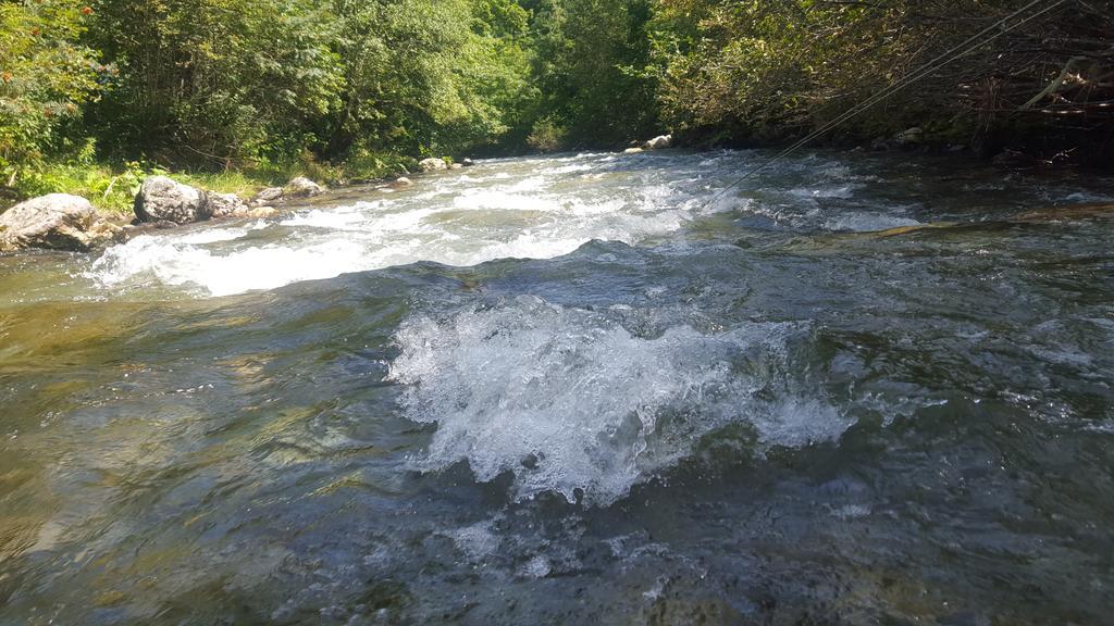 Gasthof Zur Gams Donnersbachwald Εξωτερικό φωτογραφία