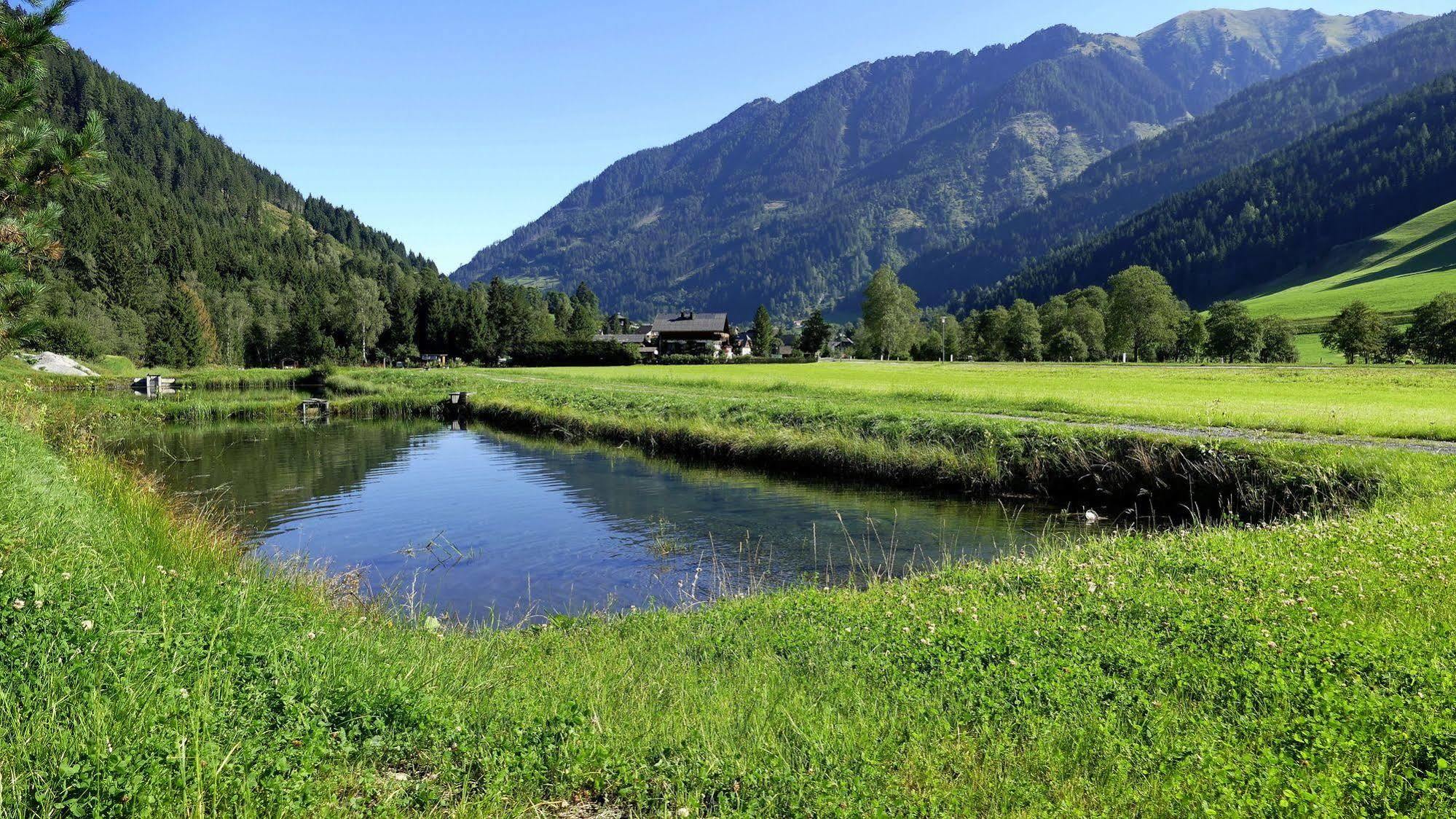 Gasthof Zur Gams Donnersbachwald Εξωτερικό φωτογραφία