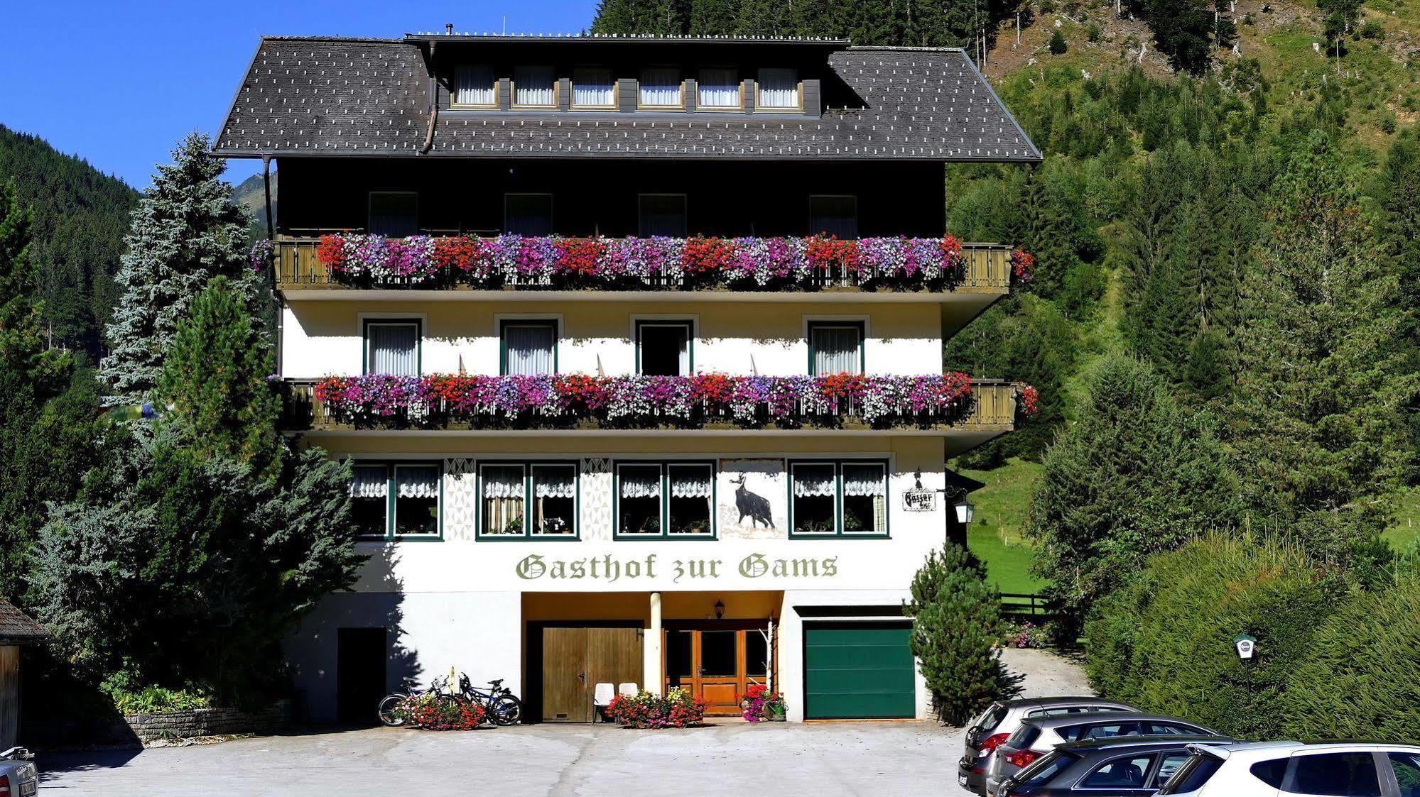 Gasthof Zur Gams Donnersbachwald Εξωτερικό φωτογραφία
