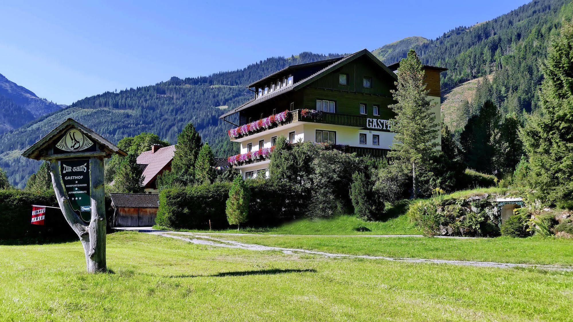 Gasthof Zur Gams Donnersbachwald Εξωτερικό φωτογραφία