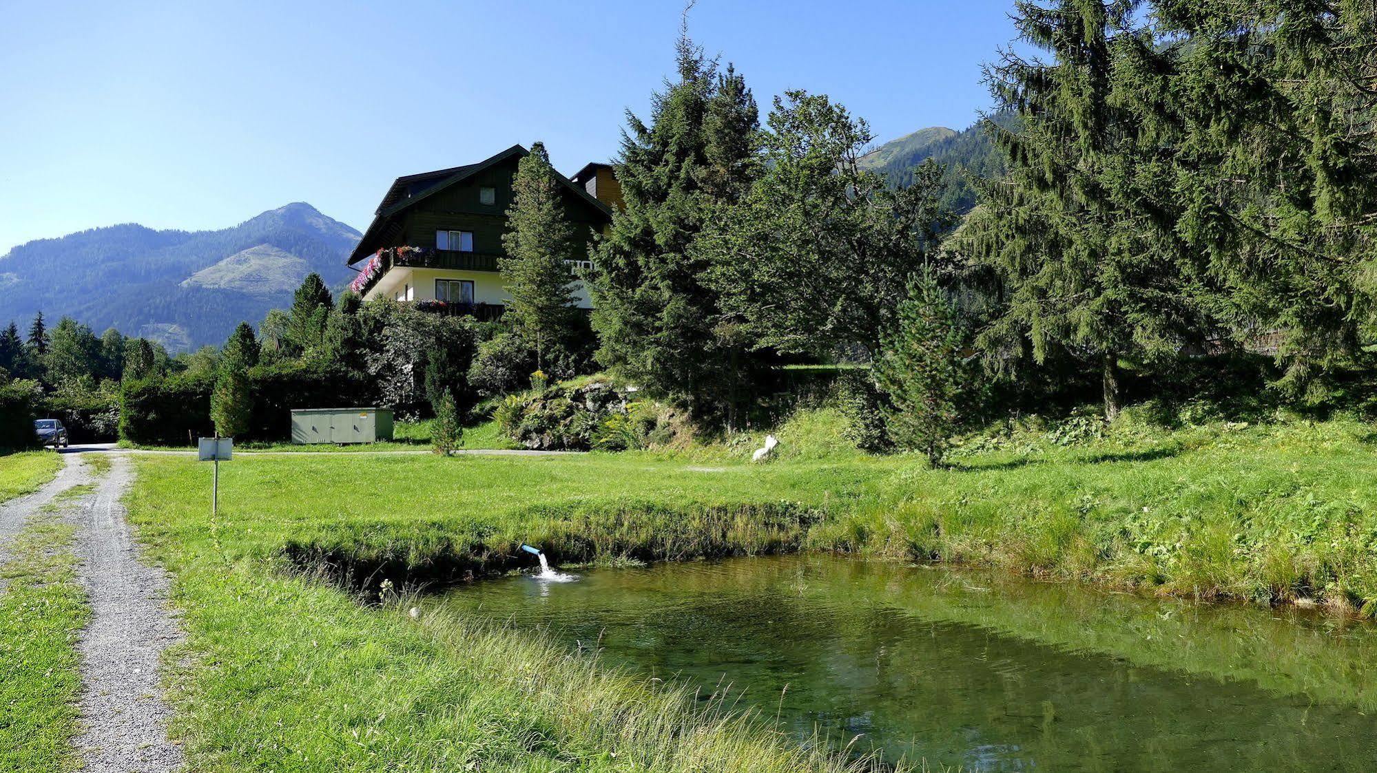 Gasthof Zur Gams Donnersbachwald Εξωτερικό φωτογραφία